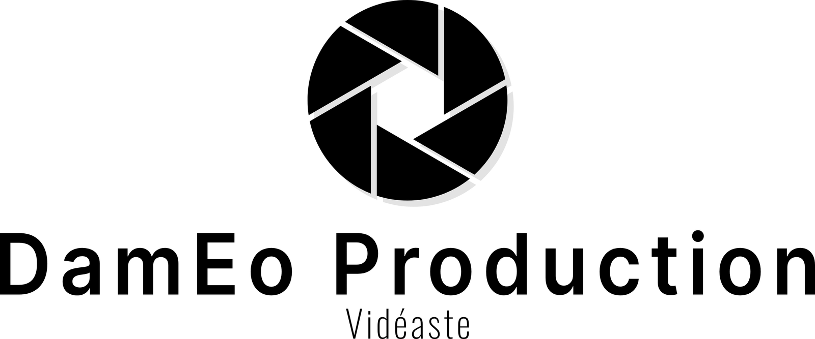 Logo DamEo Production vidéaste de mariage